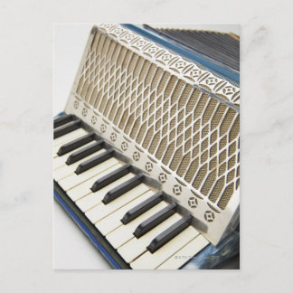 Antique Accordion Keyboard Postcard