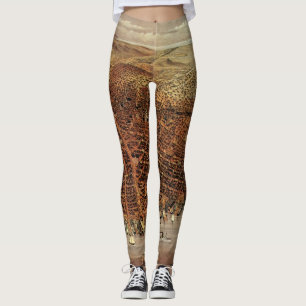 Antique Aerial Map of San Francisco, California Leggings