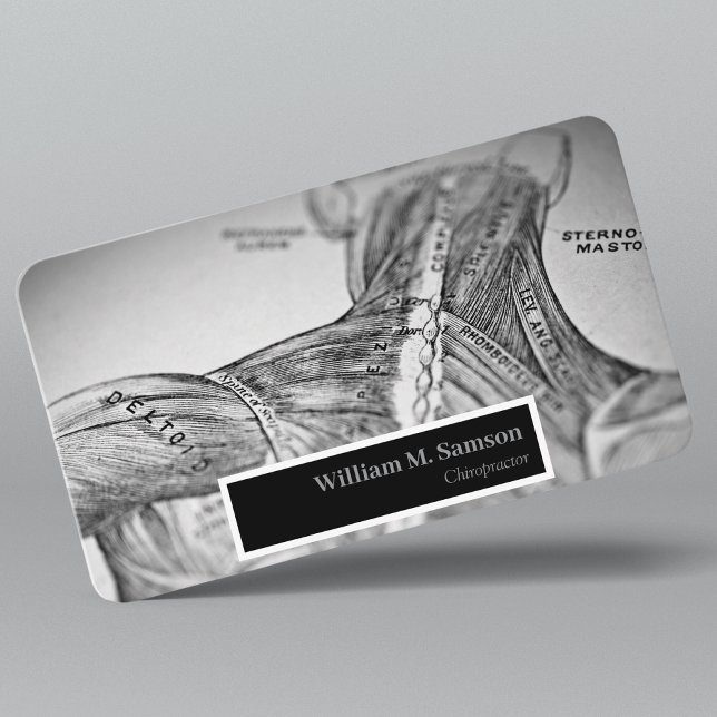 Antique anatomical illustration chiropractor  business card (Creator Uploaded)
