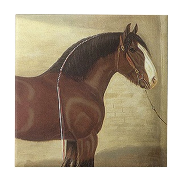 Antique Art Bay Clydesdale Draught   Horse Tile (Front)