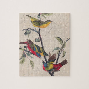 Antique Audubon Painted Bunting Bird Jigsaw Puzzle