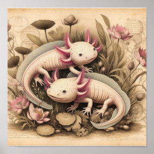 Antique Axolotl Poster with Scientific Plant