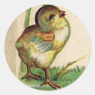 Antique Baby Easter Chick Round Sticker