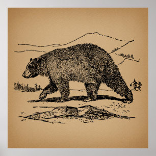 Antique Bear Art Illustrated Vintage Bear Poster