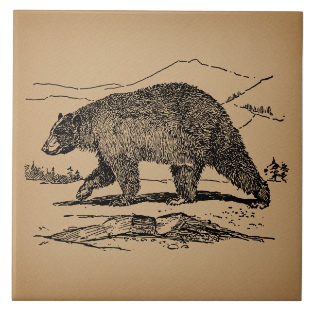 Antique Bear Art Illustrated Vintage Bear Tile (Front)
