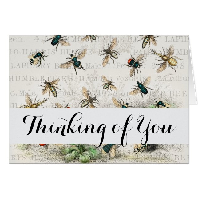 Antique Bee Honey Worker Queen Bees Vintage (Front Horizontal)