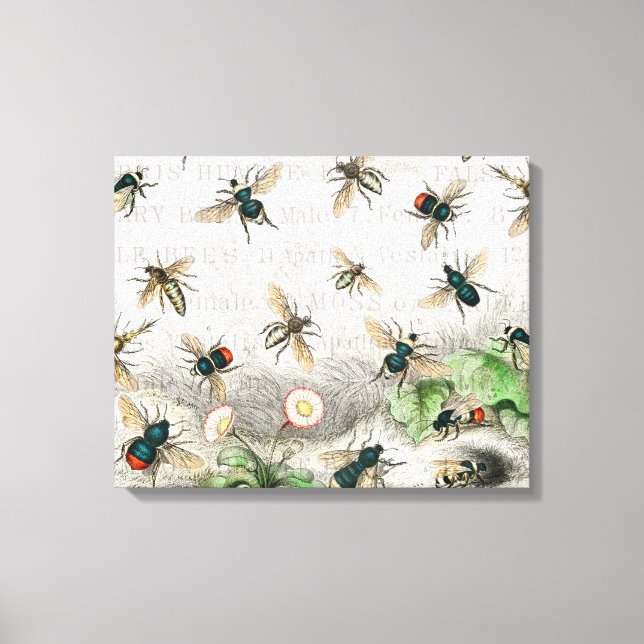 Antique Bee Honey Worker Queen Bees Vintage Canvas Print (Front)