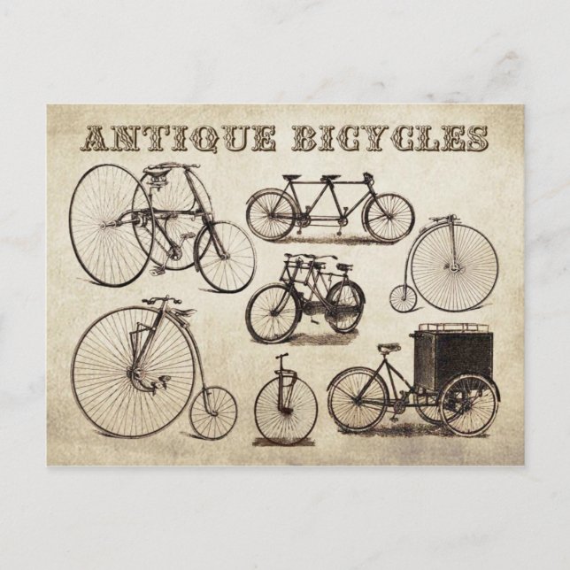 Antique Bicycles (Velocipedes) Postcard (Front)