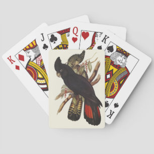 Antique Birds Australia Scientific Parrot Wall Art Playing Cards