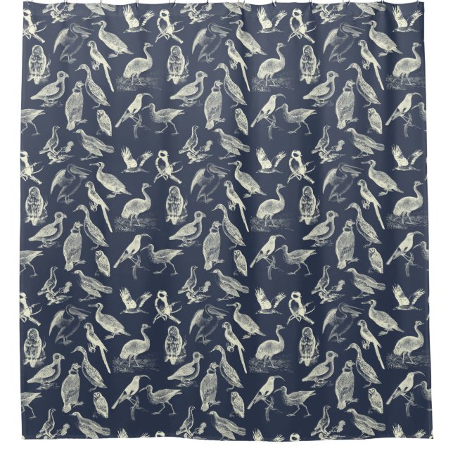 Antique Birds Illustrations Engravings Cream Navy Shower Curtain (Front)