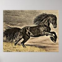 Antique Black Stallion Horse