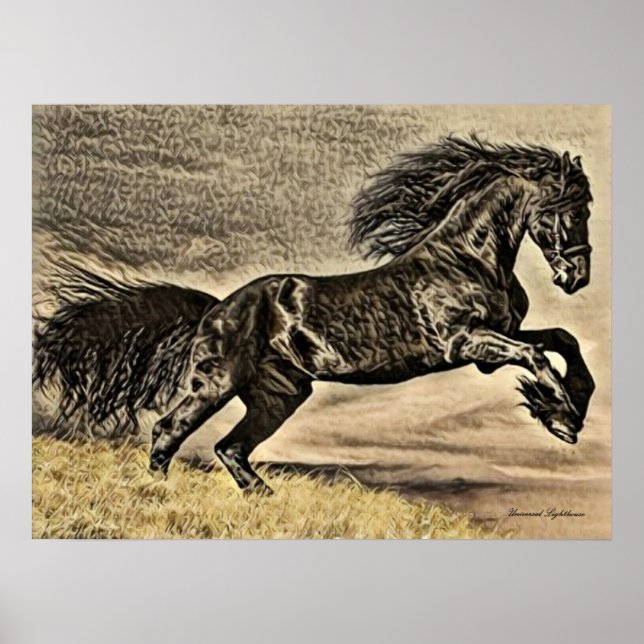 Antique Black Stallion Horse Poster (Front)