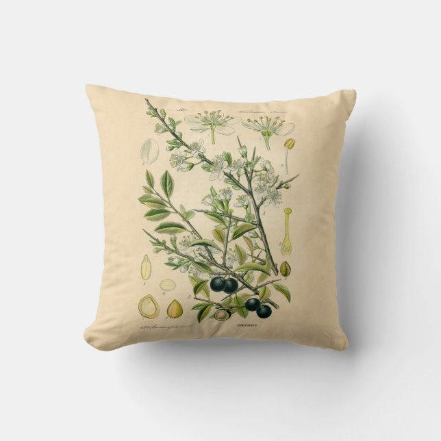 Antique Blackthorn Botanical Print Flower Berry Cushion (Front)