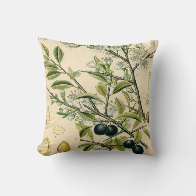 Antique Blackthorn Botanical Print Flower Berry Cushion (Front)