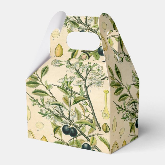 Antique Blackthorn Botanical Print Flower Berry Favour Box (Front Side)