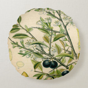Antique Blackthorn Botanical Print Flower Berry Round Cushion