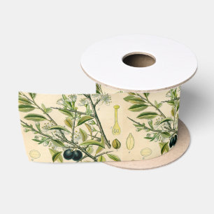 Antique Blackthorn Botanical Print Flower Berry Satin Ribbon