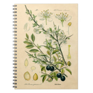 Antique Blackthorn Botanical Print Flower Berry Spiral Notebook