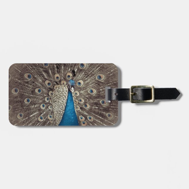 Antique Blue Peacock Luggage Tag (Front Horizontal)