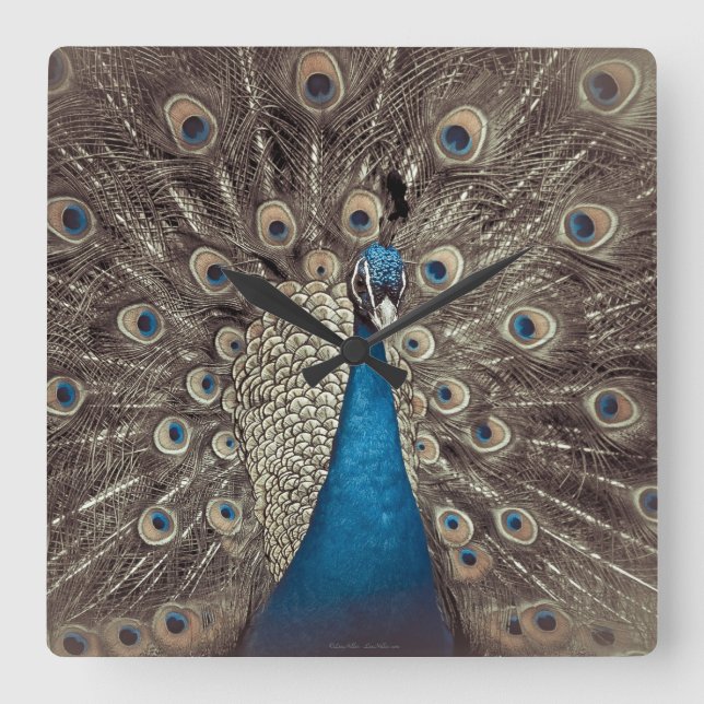 Antique Blue Peacock Square Wall Clock (Front)
