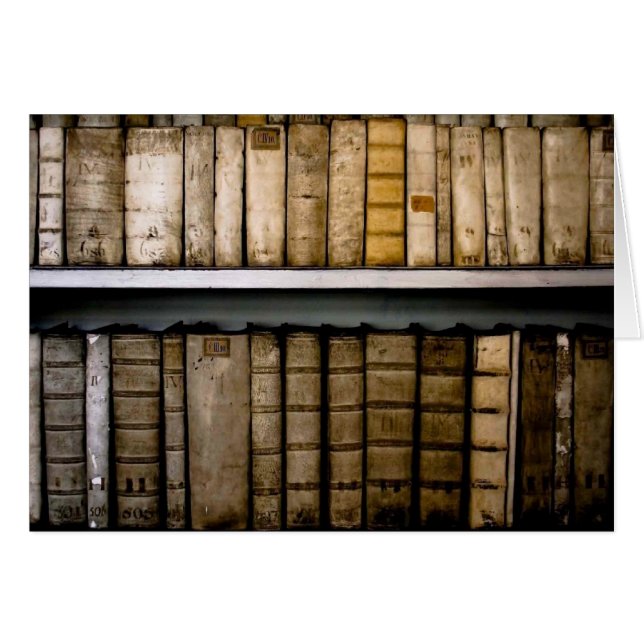 Antique Books 17th Century Vellum Bindings (Front Horizontal)