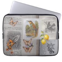 Antique Books, Birds and Butterflies
