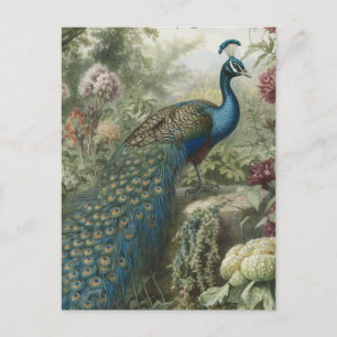 Antique Botanical Peacock Garden Art Stationery Postcard