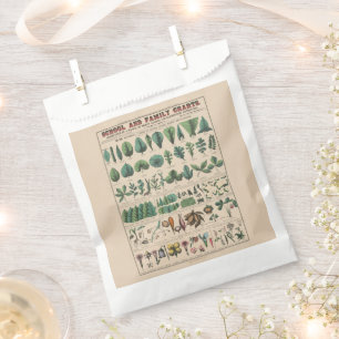 Antique Botanical School Chart Vintage Nature Favour Bags