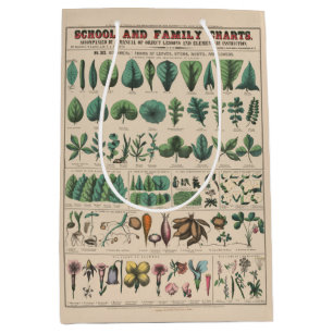 Antique Botanical School Chart Vintage Nature Medium Gift Bag