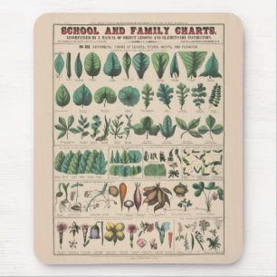 Antique Botanical School Chart Vintage Nature Mouse Pad