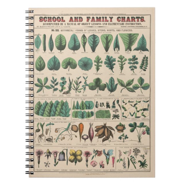 Antique Botanical School Chart Vintage Nature Notebook (Front)
