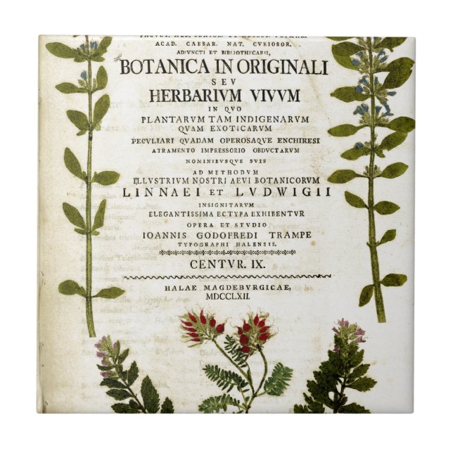 Antique Botany Bookplate Tile (Front)
