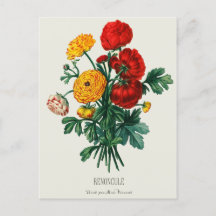 Antique Bouquet, Red & Yellow Ranunculus Flowers