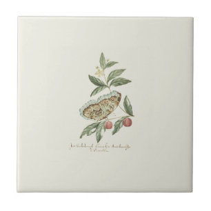 Antique Brush Colour Butterfly Cream Ceramic Tile