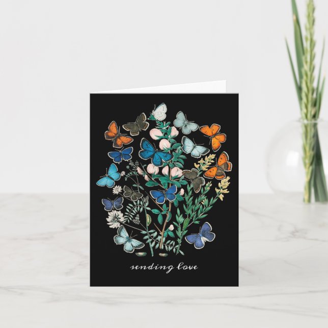 Antique butterflies and moths Colourful Invitation (Front)