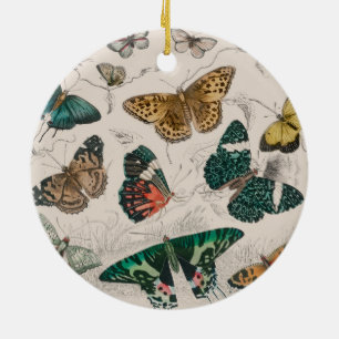 Antique Butterfly Illustration: 1820 Goldsmith Ceramic Tree Decoration
