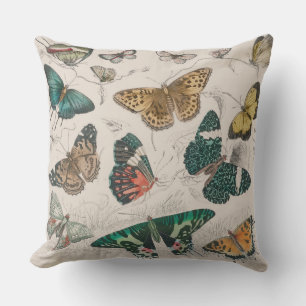Antique Butterfly Illustration: 1820 Goldsmith Cushion