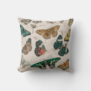 Antique Butterfly Illustration: 1820 Goldsmith Cushion