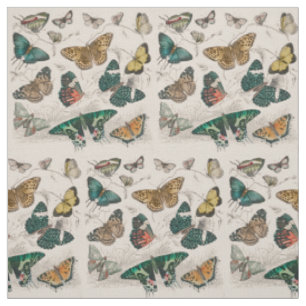 Antique Butterfly Illustration: 1820 Goldsmith Fabric