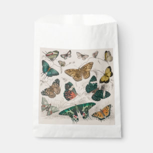 Antique Butterfly Illustration: 1820 Goldsmith Favour Bags