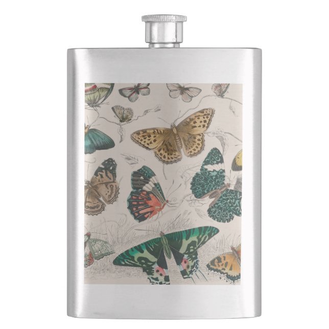 Antique Butterfly Illustration: 1820 Goldsmith Hip Flask (Front)