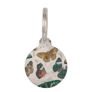 Antique Butterfly Illustration: 1820 Goldsmith Pet Tag