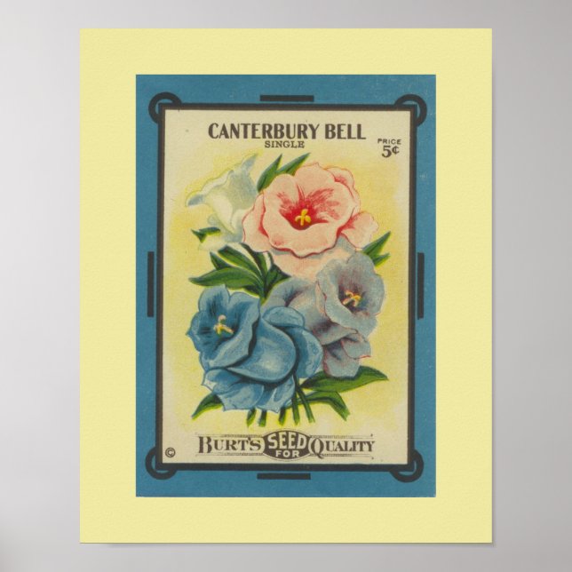 Antique Canterbury Bells Poster (Front)