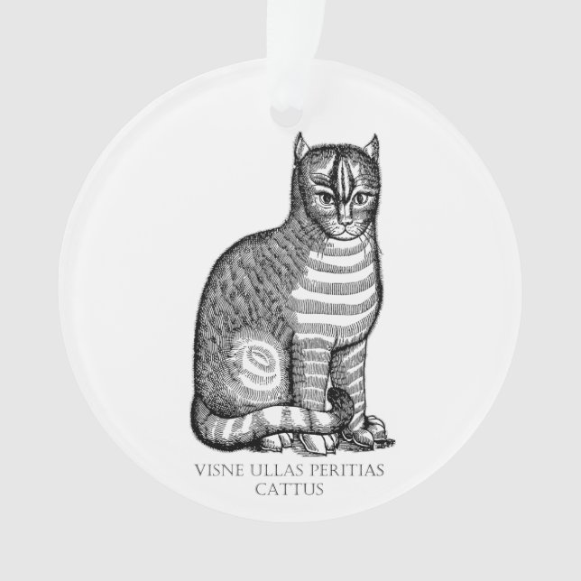Antique Cat Ornament (Front)