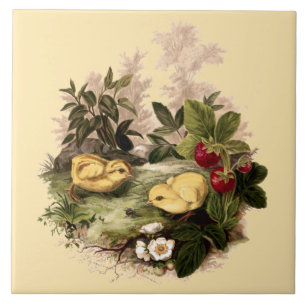 Antique Chickens & Strawberries by L. Prang & Co. Tile