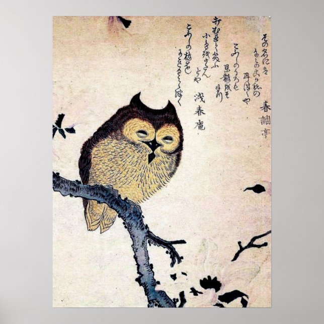 Antique Chinese Owl Print Poster (Front)
