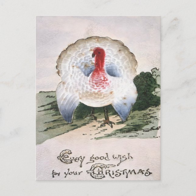 Antique Christmas Turkey Postcard (Front)