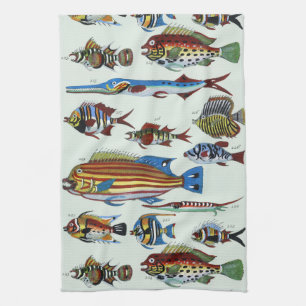 Antique Colourful Exotic Fish Natural History Prin Tea Towel