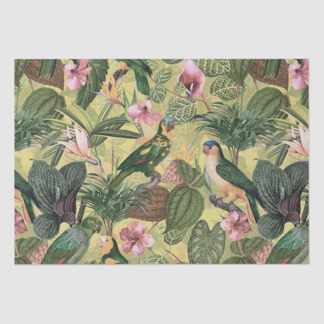 Antique Colourful Parrots Tropical Jungle Pattern Tissue Paper (Front)