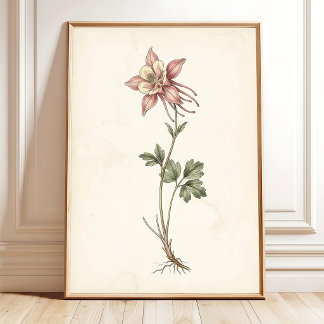 Antique Columbine Botanical Farmhouse Art Poster